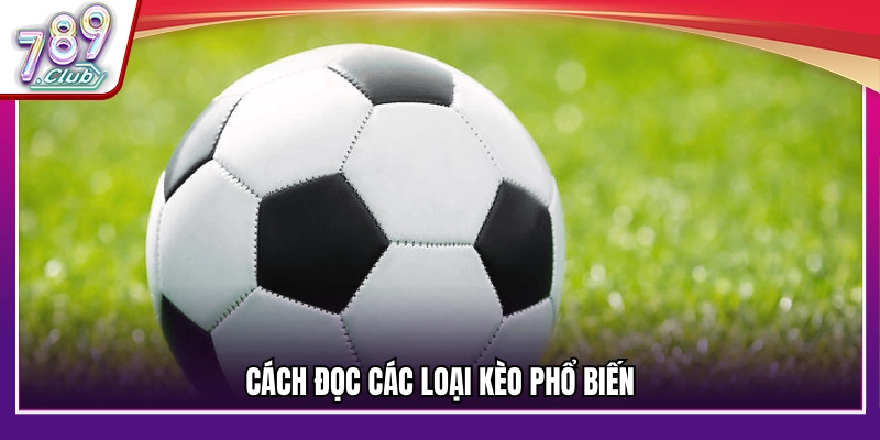 Hướng dẫn hiểu các loại kèo phổ biến